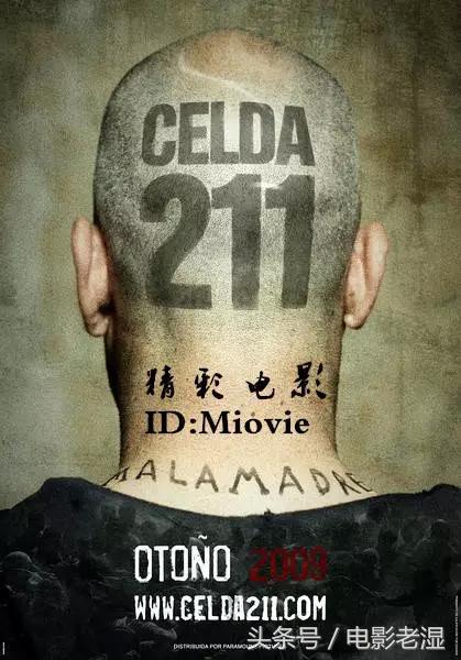 好看的10部黑帮电影,那些人生必看的黑帮电影