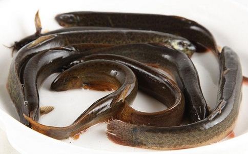 最挣钱的养殖业养殖什么不愁销路,穷人养殖什么最挣钱新型养殖业