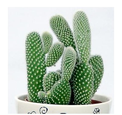 diy祛痘面膜大全,男士面膜祛痘补水面膜