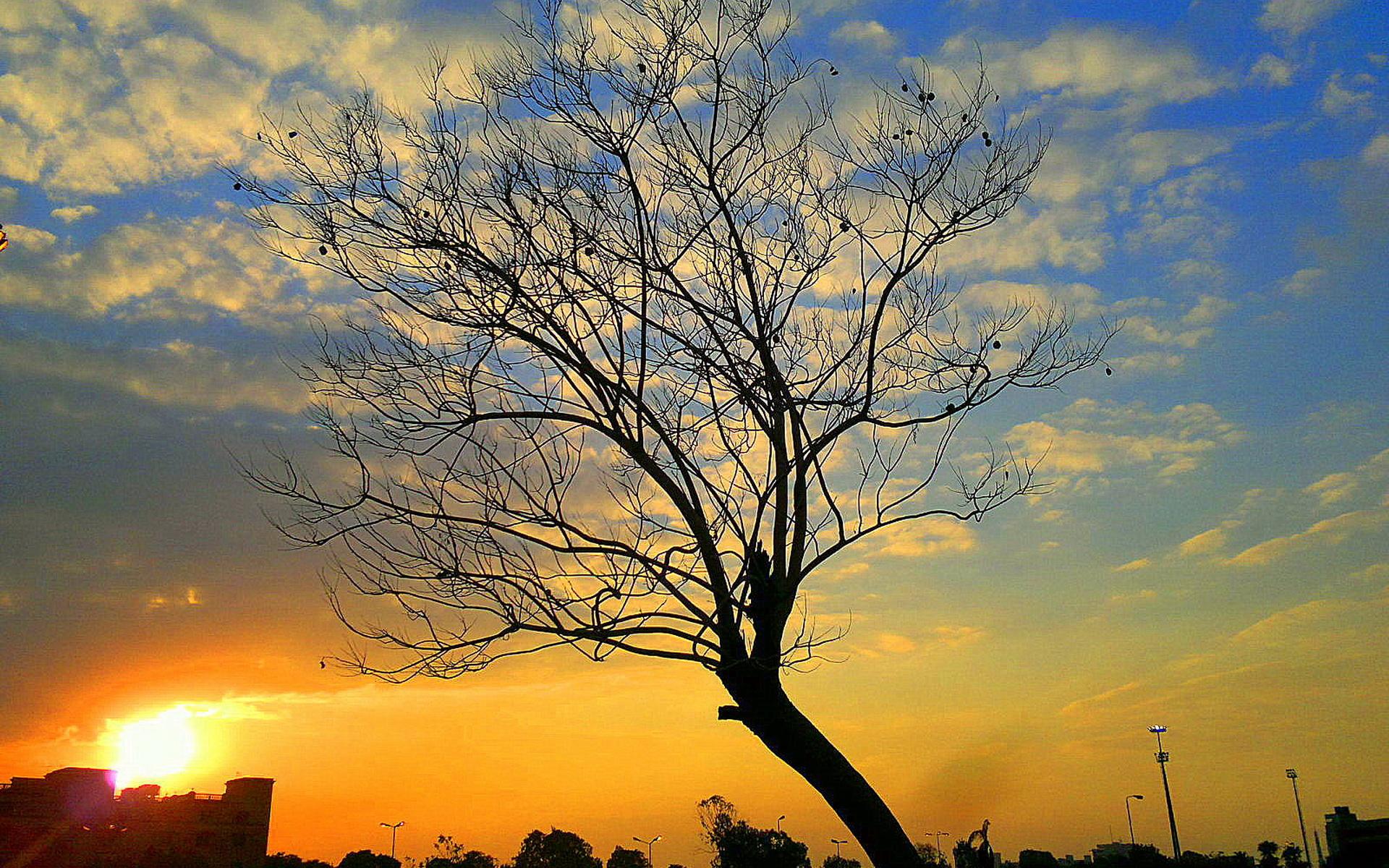 十首中国最美的长篇现代诗,十首现代最美诗