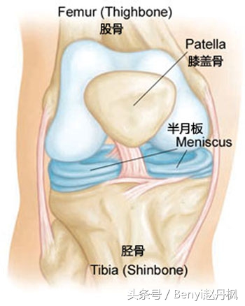 膝关节疼痛如何预防和干预,膝盖常见伤病症状