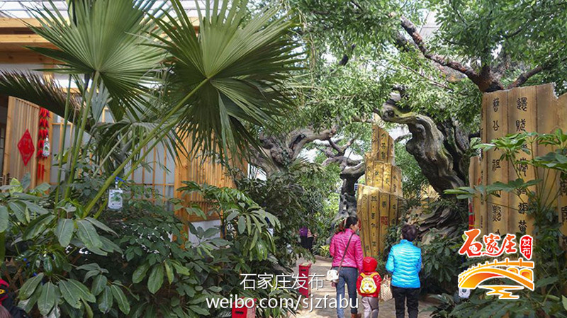 石家庄特点农家乐,石家庄农家乐去哪里最好