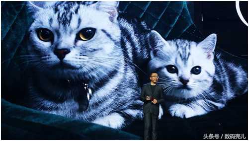 参加光荣发布会,参加光荣100发布会