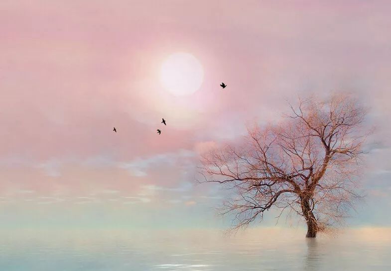 十首中国最美的长篇现代诗,十首现代最美诗