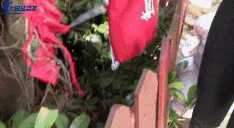 「正片」踢球不只是男生的专利丨寻找足球女汉子第2期