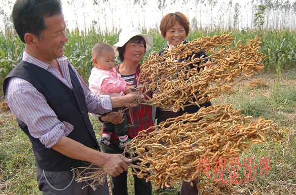 还没有过头条号新手期的朋友看过来，25天转正菜鸟我只做了5件事