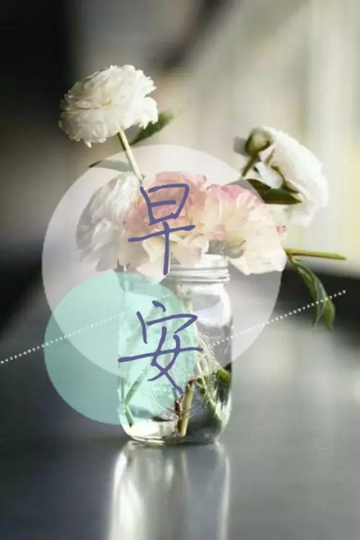周一早上好最漂亮的早安问候语,早上好祝福问候语大全简短一点