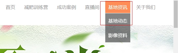掌握seo技巧打开优化思路,热门seo关键词优化私域流量
