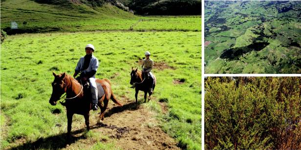 在新西兰我连吃两顿杭伊，还和毛利武士干了一架|出发吧