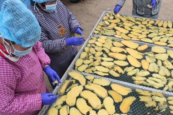 农闲人不闲，农闲可是致富好时机，利用好能大赚一笔