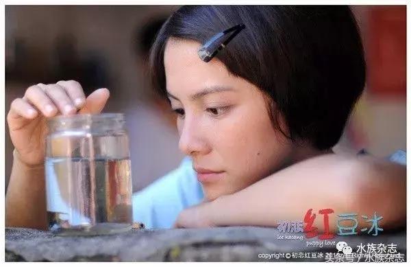 水族电影科幻,水族剧情视频