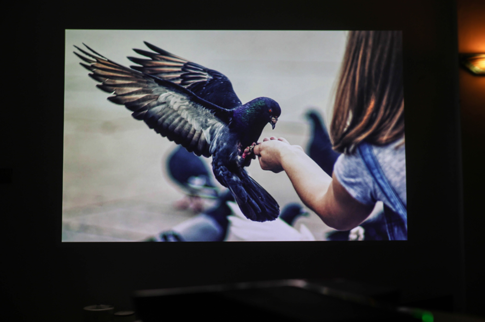 小米投影最新推荐,小米最具性价比的一款投影