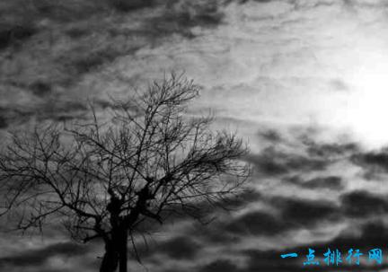 世界上最厉害的自然灾害图片,全球破坏性最强的自然灾害有哪些