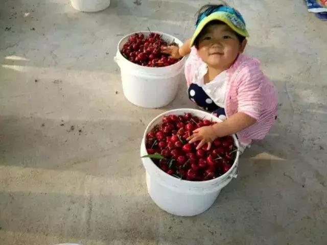 “微商”岳母养成记