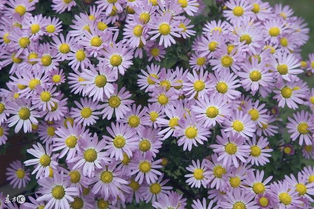 辰龙人：12月会有百年难遇的“大事”，再不准备可就“完”了！