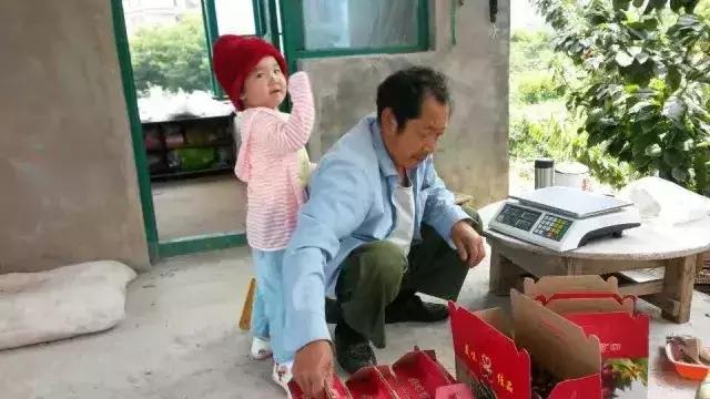 “微商”岳母养成记