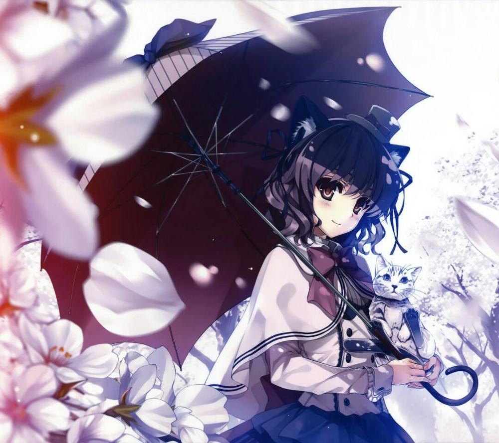 二次元音乐分享网站,二次元音乐资源网站