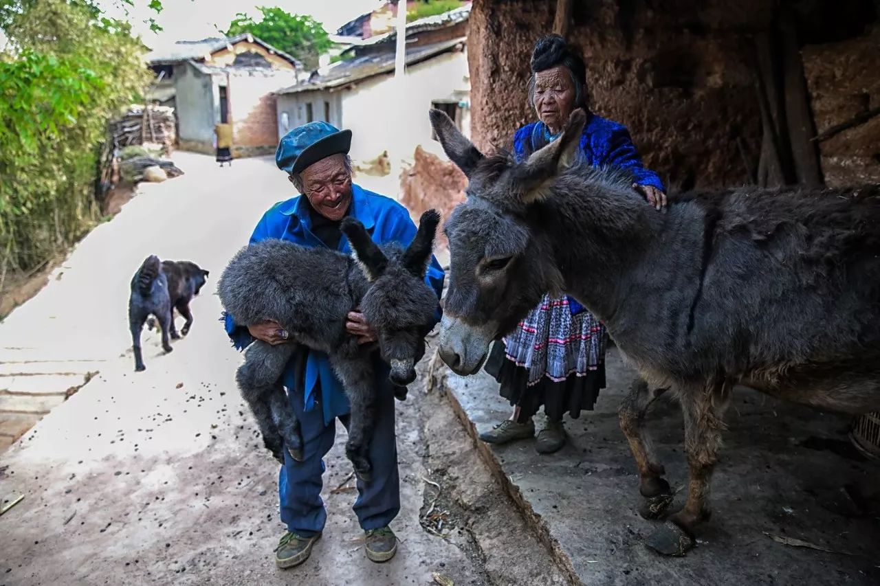 昆明骑行游,昆明骑行一定要去的地方