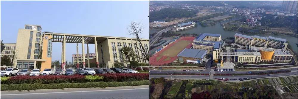 “国际滨欢迎您最佳策划奖暨空中看美丽学校”大赛开始了！