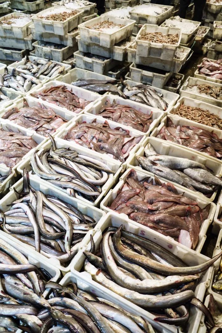 上海去哪里吃实惠而又正宗的海鲜,上海哪里的海鲜又便宜又好吃