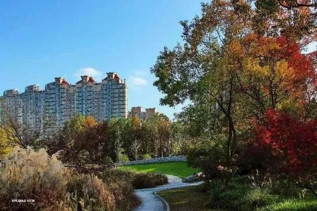 打卡上海这几个风景绝佳的赏秋地,探索最美旅游地点