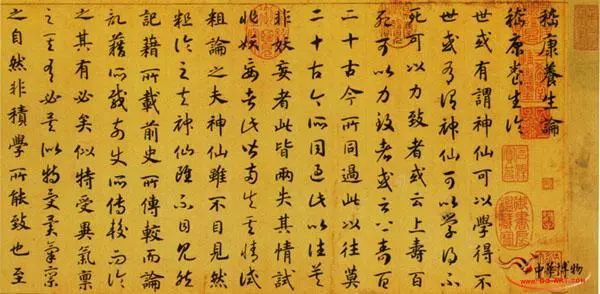 养生朋克版,养生朋克是什么