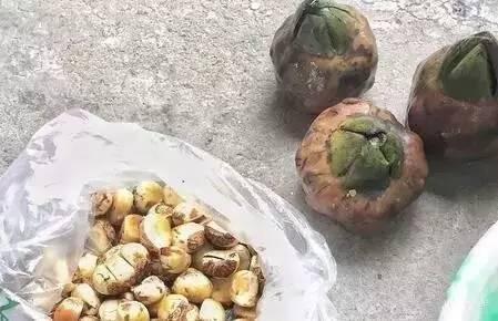 经常喝红豆薏米粥对身体好不好呢,男孩长期喝红豆薏米粥