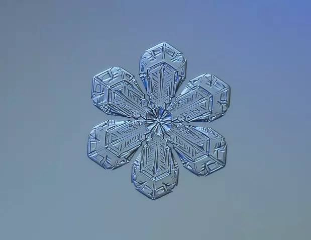 摄影最美人物照片,摄影人的第一张照片