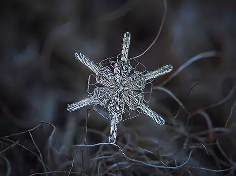 摄影最美人物照片,摄影人的第一张照片