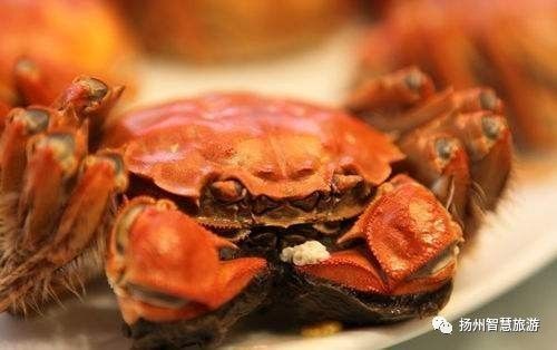 扬州螃蟹,江苏吃螃蟹最出名的地方有哪两个