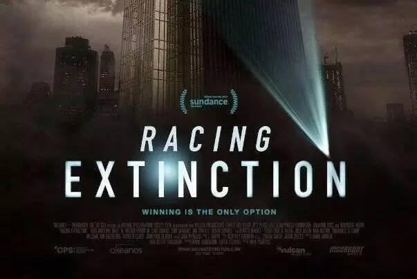 推荐｜《竞相灭绝》：与物种灭绝竞速的死亡赛跑