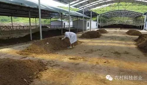 适合农村创业的小本点子,12个适合农村创业的小本项目