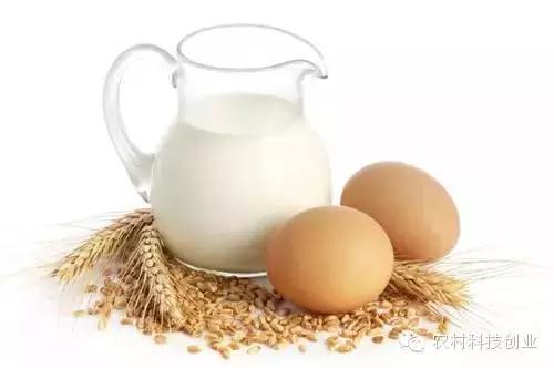 适合农村创业的小本点子,12个适合农村创业的小本项目