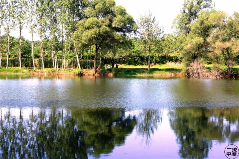 这些字儿都不认识，你是河南人吗？