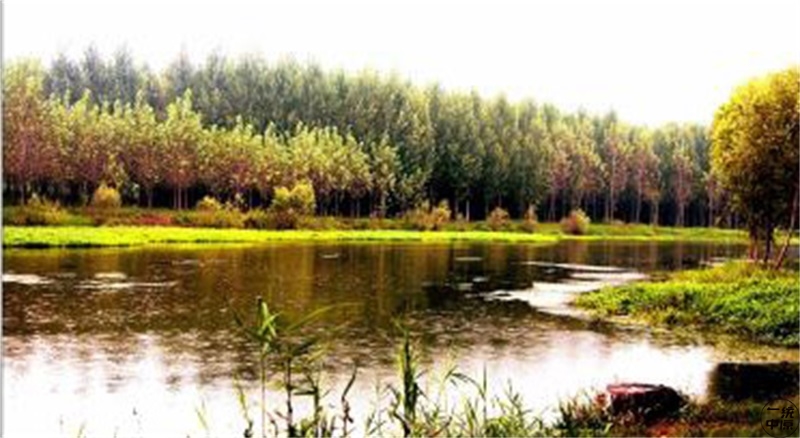 这些字儿都不认识，你是河南人吗？