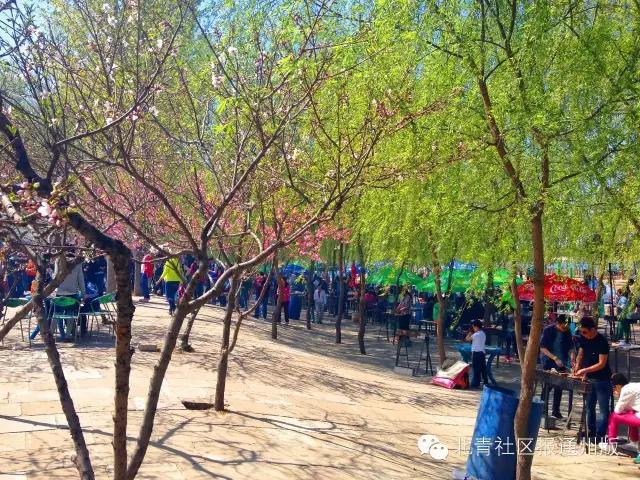 通州烧烤户外,京郊烧烤好去处推荐