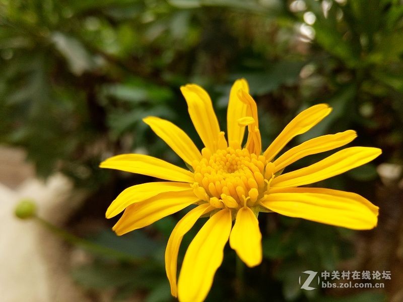 oppor9测评讲解,oppor9体验感超好