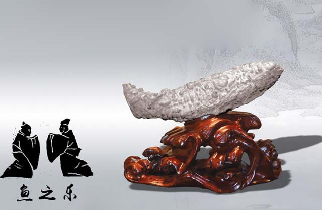 灵璧奇石珍珠,周寨灵璧珍珠石