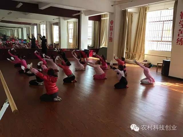 休闲农业十大盈利模式,休闲农业致富方法