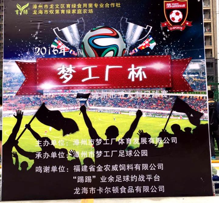 以梦为马豪情朗诵,以梦为马诗酒趁年华