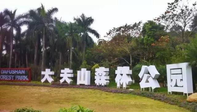 广州地铁附近旅游景点介绍图,收藏地铁线网图