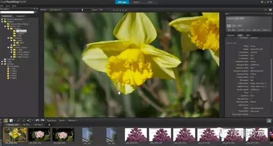 免费室内装修设计软件哪个最好用,免费设计软件哪个最好用