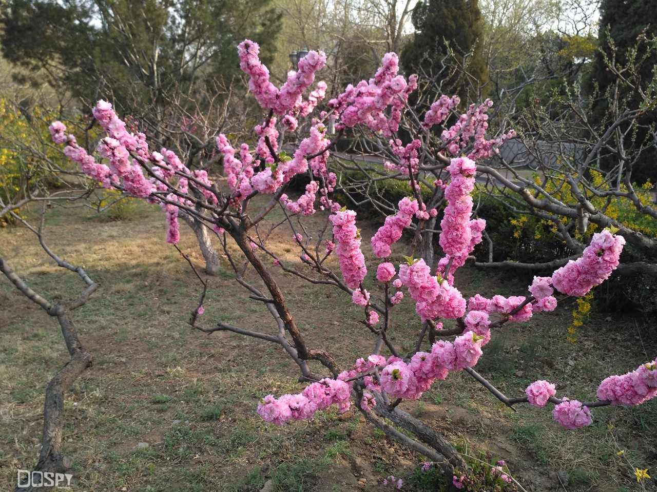 红米3高配版详细参数,红米3高配版报价