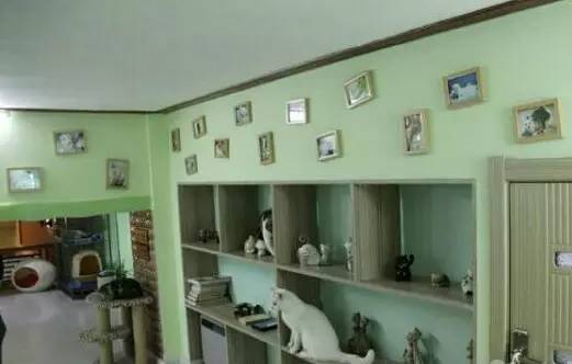 宋仲基欧巴来哈尔滨必去的6家咖啡厅，第3家居然是.....