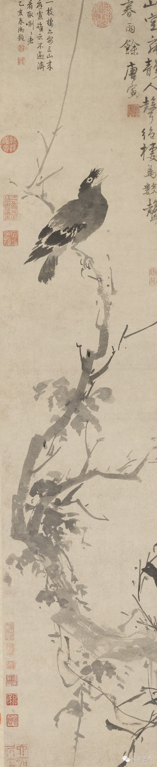 对中国传统绘画中的花鸟画的理解,中国花鸟画意境解读