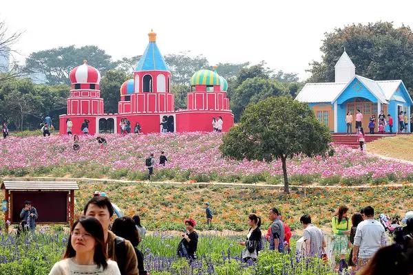深圳周边有什么好玩的地方自驾游,深圳周边18个短途旅行最佳去处
