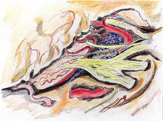 三叉神经痛和继发性的三叉神经痛,三叉神经贴治疗三叉神经痛的原理