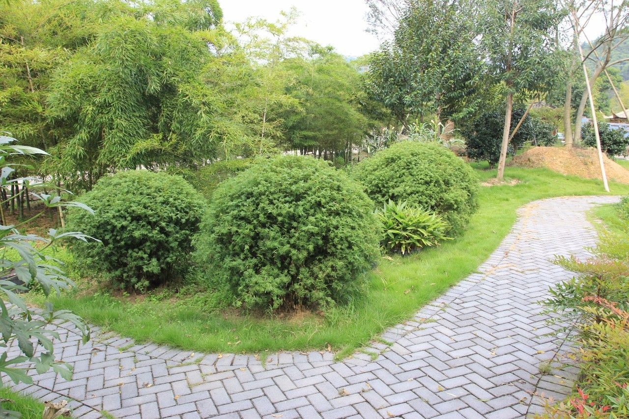 杭州最值得去吃的地方,杭州旅游美食推荐地点