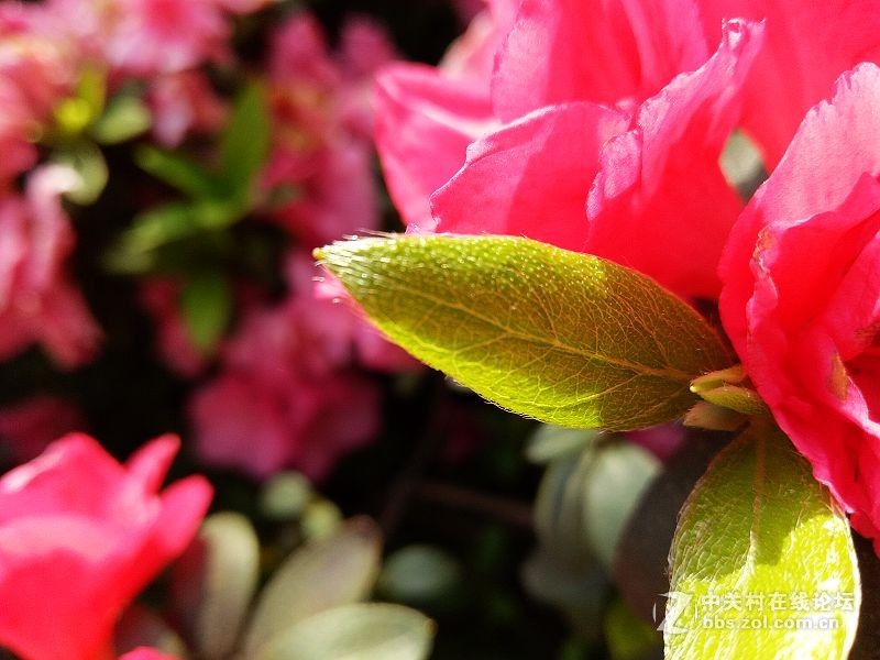 oppor9测评讲解,oppor9体验感超好