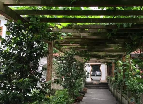 周末没地方玩去哪,推荐重庆一个可以住农家乐的景区